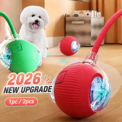 Exciting New Interactive Dog Ball Toy - Automatic Rolling, Rechargeable, and Smart for Endless Fun!