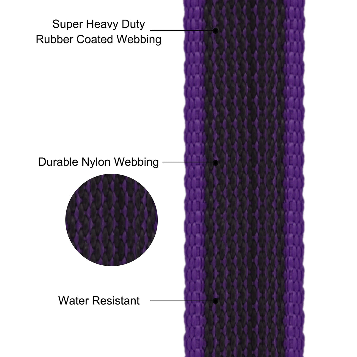 Leash colors