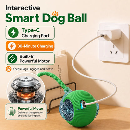 Exciting New Interactive Dog Ball Toy - Automatic Rolling, Rechargeable, and Smart for Endless Fun!
