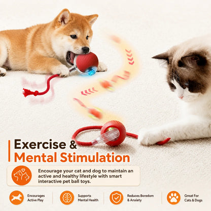 Exciting New Interactive Dog Ball Toy - Automatic Rolling, Rechargeable, and Smart for Endless Fun!
