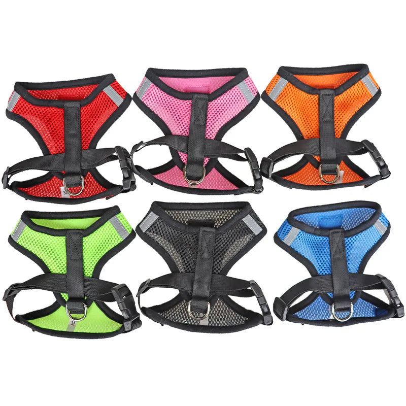Harness color options